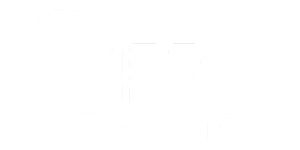 IMS Software white logo